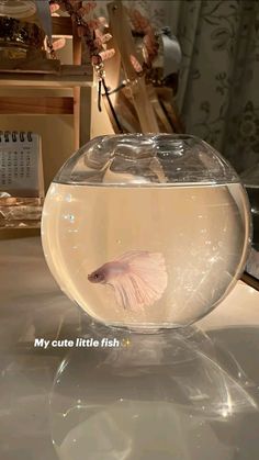 a fish in a bowl sitting on top of a table