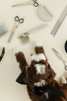 a stuffed animal is laying on its back with scissors and combs in the background