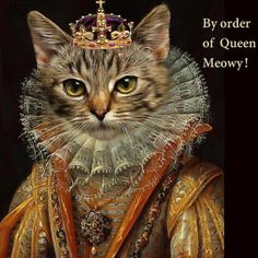 a painting of a cat wearing a tiara with the caption by order of queen meowy