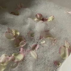 rose petals are floating in the bathtub full of water