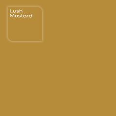 the cover of lush mustard, with an orange background