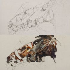 two drawings of different shapes and sizes of objects, one being a horse's head