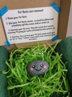 a box with some grass and a rock in it