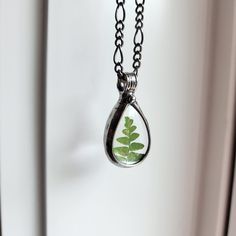 Bayou Glass Arts Real Fern Necklace Wild offering from our piney forest floor. Teardrop glass pendant with a real fern tip encased. Carry a piece of nature with you wherever you go. Fern Pendant: 1 1/4 inch H x 3/4 inch W Gunmetal (aged silver) or Shiny silver finish, your choice. Select your length of fully adjustable Figaro chain with secure lobster claw clasp Truly Hand Made in USA at Bayou Glass Arts Studio Ready to ship Free 1st Class Domestic Shipping - Expedited Shipping is available Gift Fern Necklace, Pressed Flower Jewelry, Terrarium Jewelry, Terrarium Necklace, Jewelry Real, Forest Floor, Figaro Chain, Organic Design, Tiffany Style