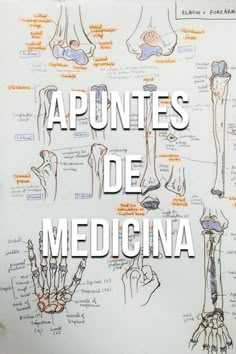 an image of the anatomy of the hand and wrist with caption in spanish above it