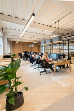 an office filled with people sitting at desks