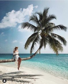 a woman is sitting on a palm tree at the beach