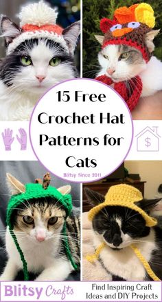 four pictures with cats wearing crochet hats and one has text overlay that reads, 15 free crochet hat patterns for cats