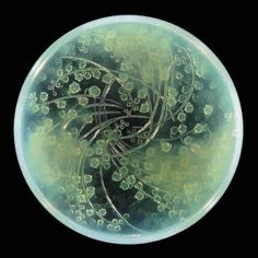 an image of a glass plate that is green and white with flowers in it, on a black background