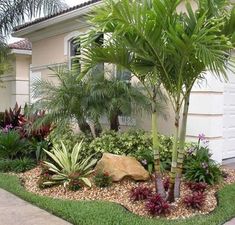 tropical landscaping in front of a house