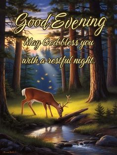 a deer drinking water from a stream in the woods with an inscription good evening may godless you with a restful night