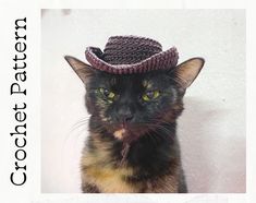 a cat with a hat on it's head is looking at the camera and has its tongue hanging out