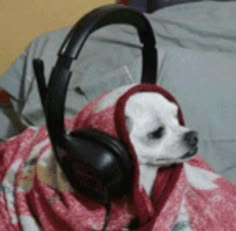 a small dog wearing headphones on top of a bed next to a blanket and pillow