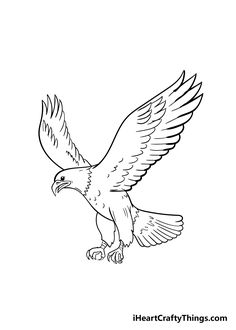 an eagle flying with its wings spread