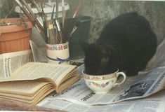 a black cat sitting on top of a newspaper next to a cup