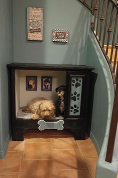 a dog is laying in his bed under the stairs