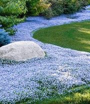 a large rock sitting in the middle of a lush green park filled with blue flowers