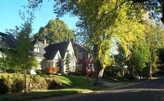 a street with houses and trees on both sides