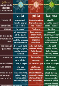 Nutrition Lifestyle, Ayurvedic Therapy