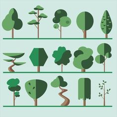 different types of trees are shown in this illustration, and each tree has its own unique shape