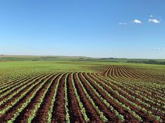 an aerial view of a large field with crops in the foreground and blue sky above