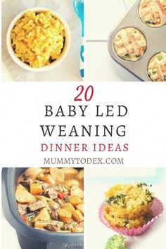 baby led weaning dinner ideas