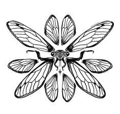 a black and white drawing of three butterflies on top of each other, with wings spread out