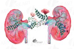 an illustration of the human kidney with flowers and leaves on it's left side