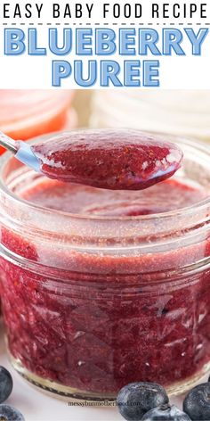 beautiful blueberry puree in jars Blueberry Puree Baby Food, Blueberry Baby Food Puree, Blueberry Recipes For Baby, Stage 1 Baby Food, Blueberry Puree, Easy Baby Food, Baby Food Recipe, Food For Babies