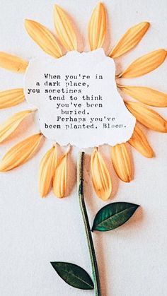 Flower Quotes Inspirational, Inspirational Quotes Positive, Selfie Quotes, Quirky Quotes, Bloom Where You Are Planted, Study Quotes, Empowerment Quotes, Flower Quotes, Dark Places