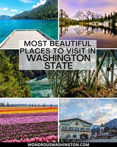 beautiful places to visit in washington state Cape Flattery, Skagit Valley Tulip Festival, Washington Mountains, Washington Vacation, Snoqualmie Falls, Most Beautiful Places To Visit, Scenic Road Trip