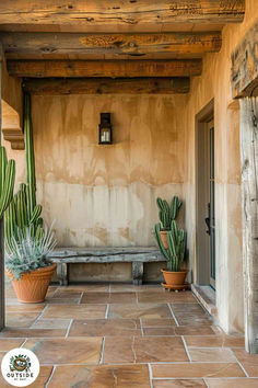 two cactus plants are sitting on the outside of a building with a bench in front of it