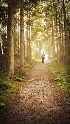 a man walking down a path in the woods with trees and grass on both sides