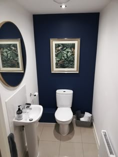 a white toilet sitting next to a sink in a bathroom under a framed painting on the wall