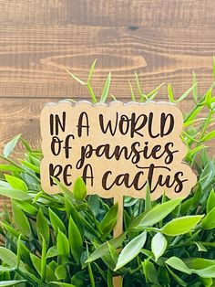 a wooden sign that says in a world of pansies, be a catus