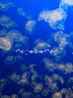 many jellyfish are swimming in the blue water with words written on it's side