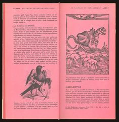 an open book with pictures of animals and birds on the page, in pink ink