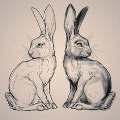 two rabbits are sitting next to each other