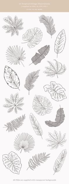 an image of leaves drawn in black and white