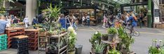 many people are shopping at an outdoor market with lots of potted plants on display