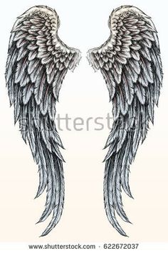 two black and white angel wings on a light background with space for text or image