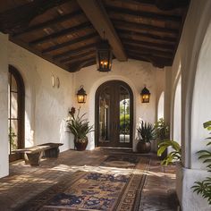 the entrance to a house with potted plants on either side and an ornate rug in front