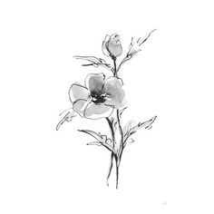 black and white drawing of flowers on a white background