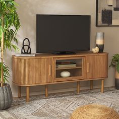 a flat screen tv sitting on top of a wooden entertainment center next to a potted plant