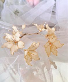 two white flowers are sitting on some sheer fabric