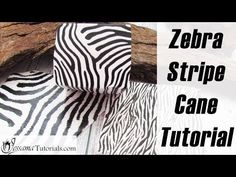 zebra stripes are on the floor next to a tree branch with text that reads zebra stripe cane