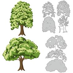 four different types of trees with leaves and branches