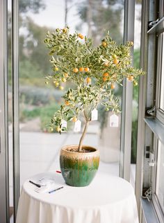 a potted plant sitting on top of a white table next to a window sill