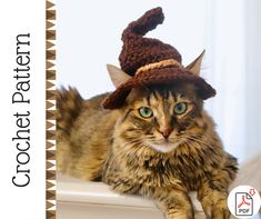 a cat wearing a crochet hat on top of it's head