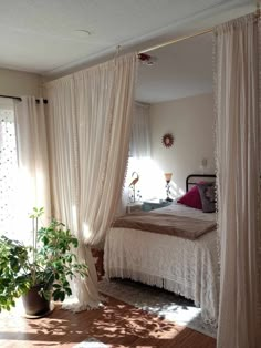 a bed sitting under a window next to a potted plant on top of a wooden floor